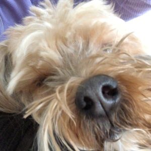 Meet your Posher, Vaishali